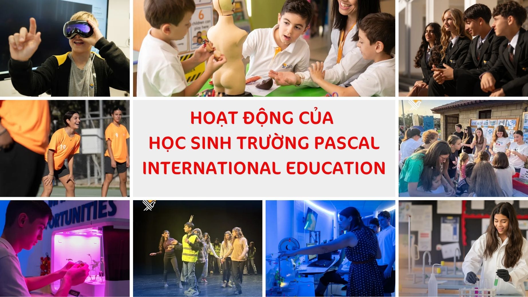 Hoạt động của học sinh trường PASCAL International Education