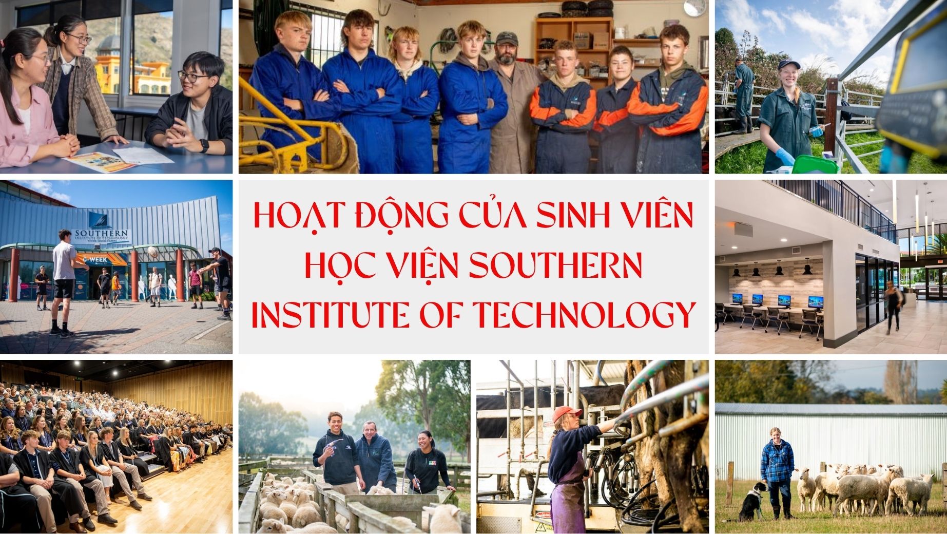 Hoạt động của sinh viên Học viện Southern Institute of Technology