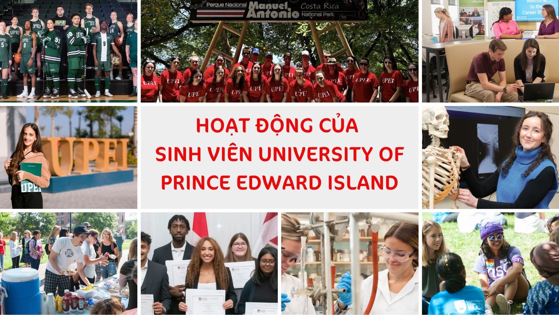 Hoạt động của sinh viên trường University of Prince Edward Island