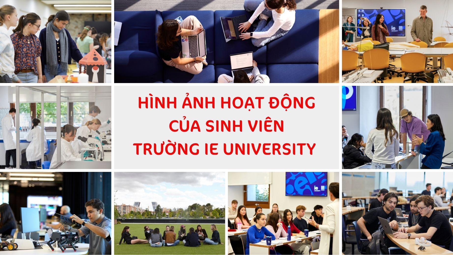 Hoạt động học tập của sinh viên tại IE University