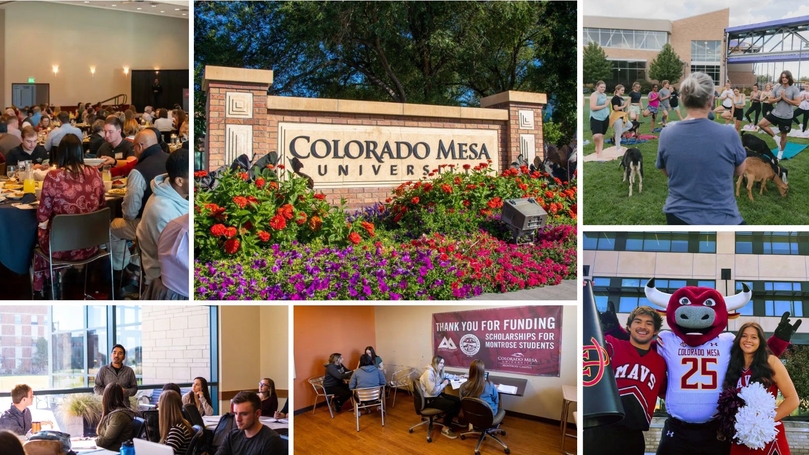 sinh-vien-truong-colorado-mesa